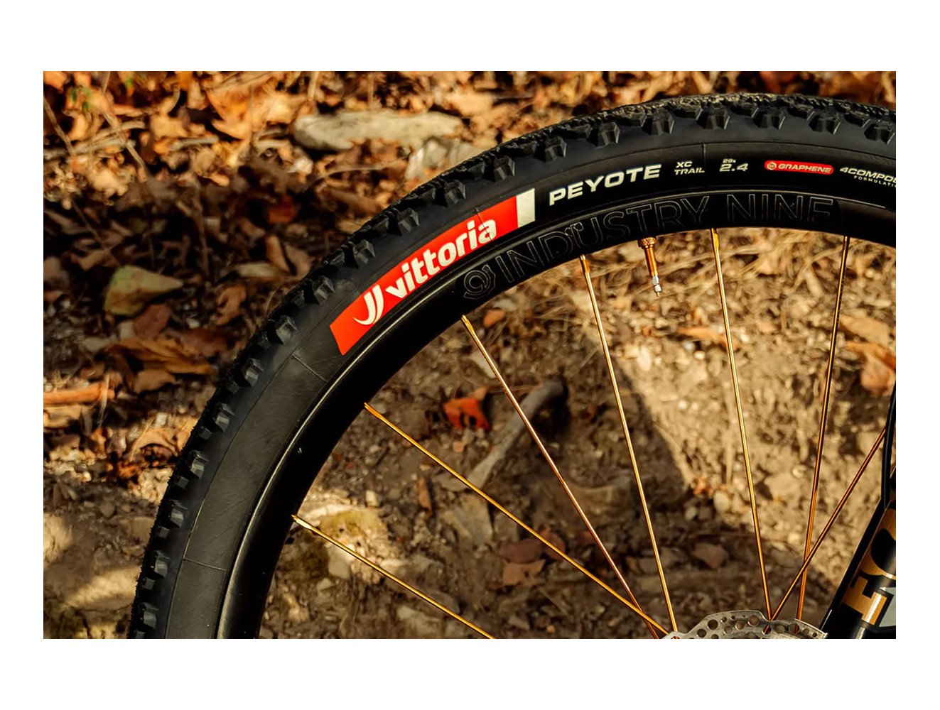 Peyote XC Trail Vittoria 29" MTB suelto | SexiBikes Almuñécar