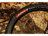 Peyote XC Trail Vittoria 29" MTB suelto | SexiBikes Almuñécar