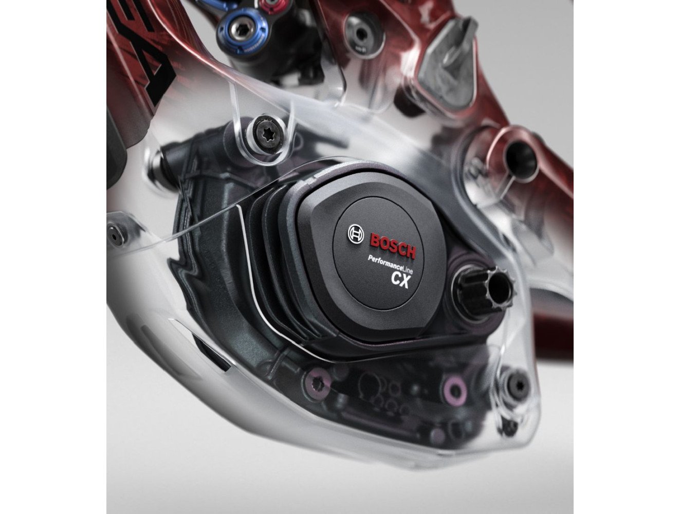 MTB eléctrica Orbea Wild H20