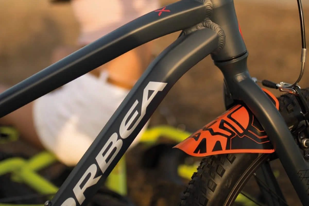 El enemigo invisible en Almuñécar: Cómo proteger tu bici del salitre y la humedad